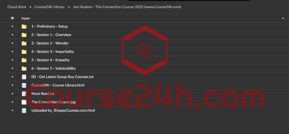 Joe Hudson - The Connection Course 