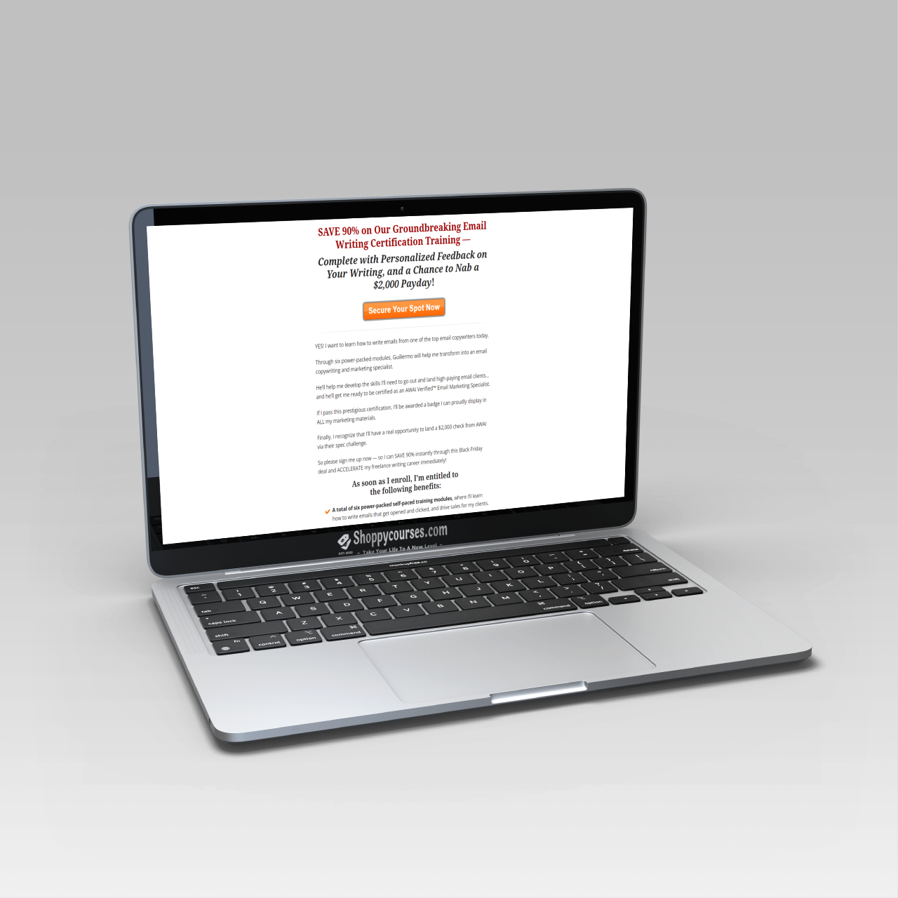 Guillermo - The Ultimate Email Copywriting Mentorship & Certification Guillermo - The Ultimate Email Copywriting Mentorship & Certification