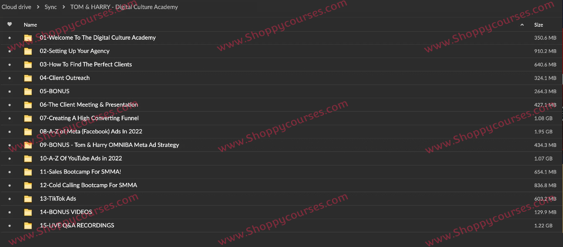 Tom & Harry - Digital Culture Academy