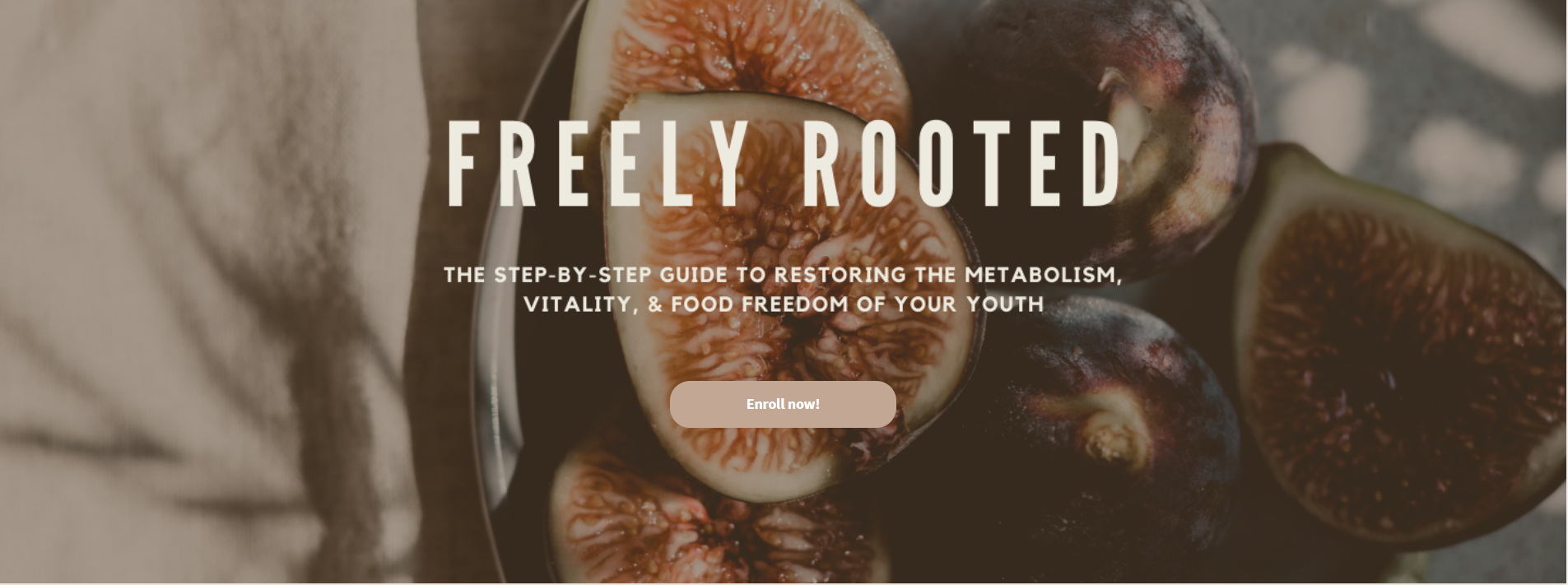 Kori Meloy – Freely Rooted