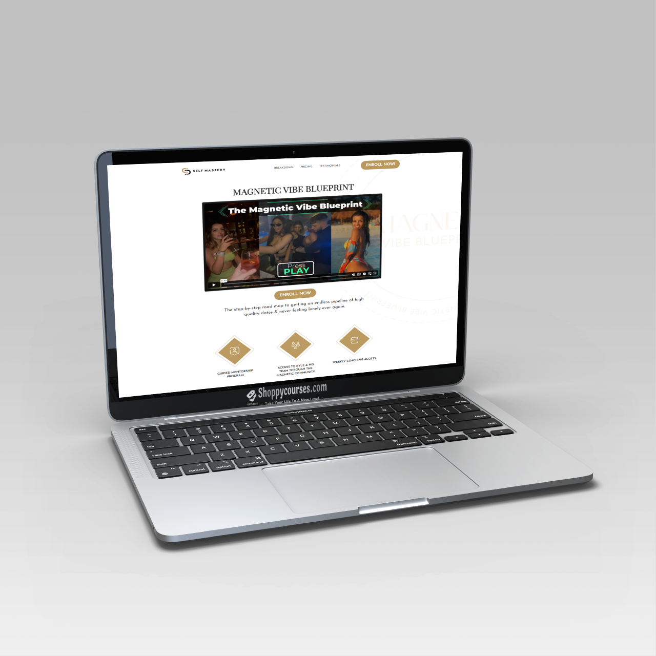 Coach Kyle - Magnetic Vibe Blueprint