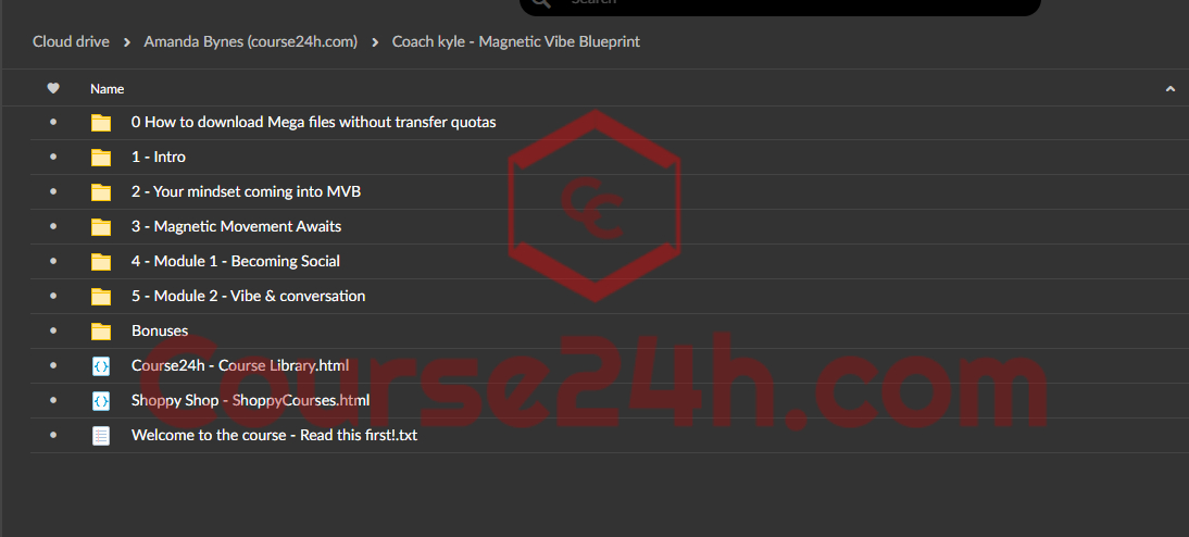 Coach Kyle - Magnetic Vibe Blueprint