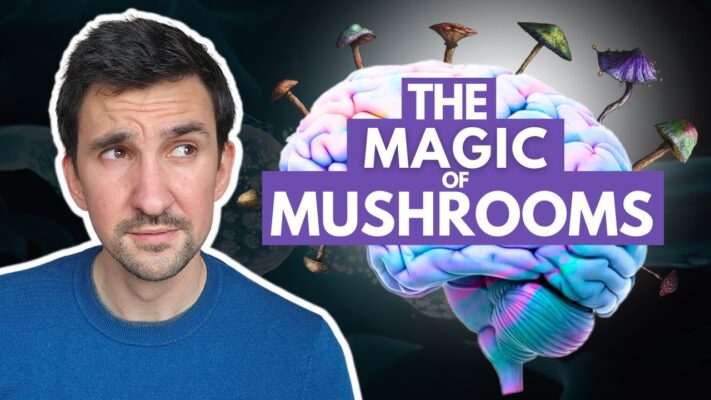 The Magic Mushrooms Course