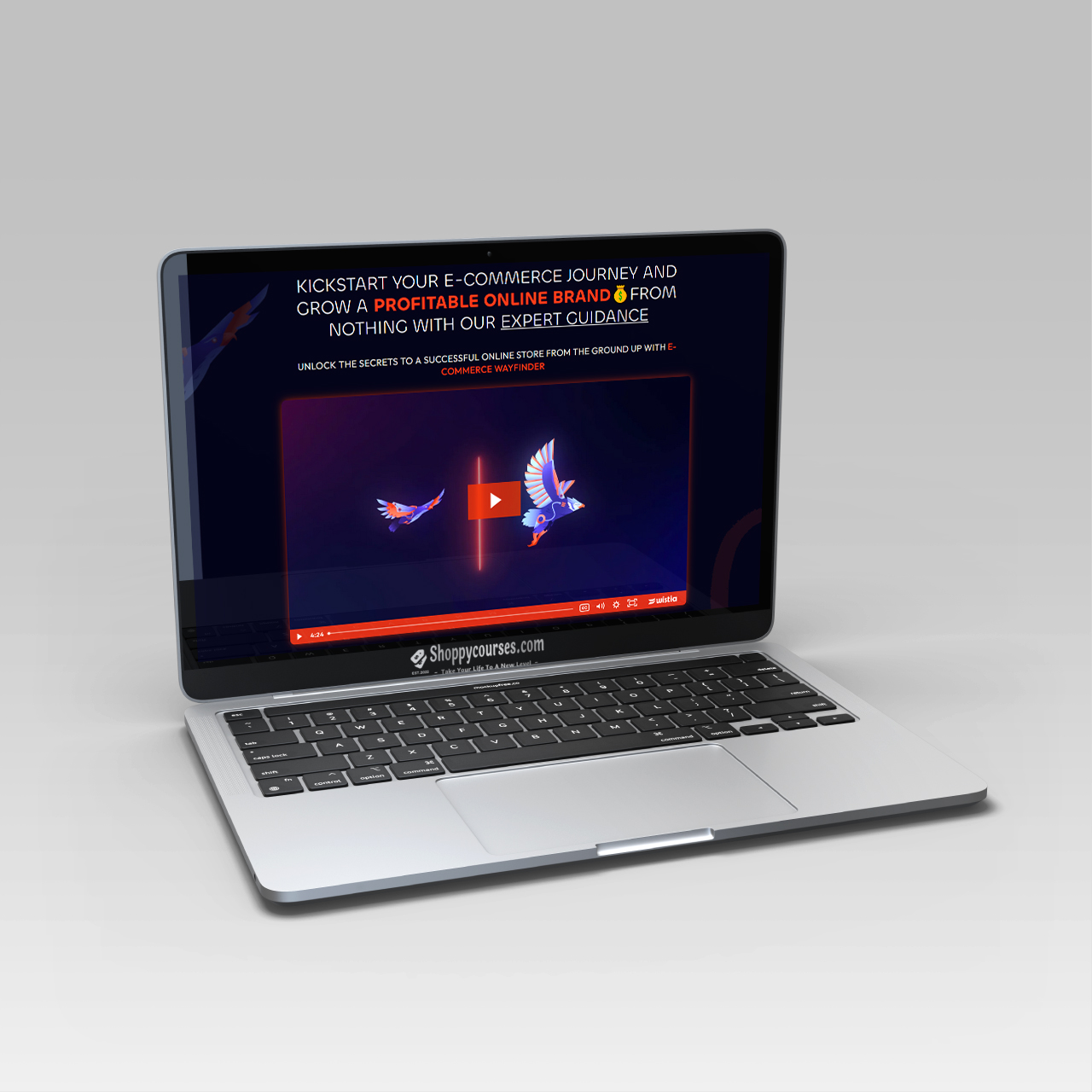 E-commerce Mentoring – E-commerce Wayfinder E-commerce Mentoring – E-commerce Wayfinder