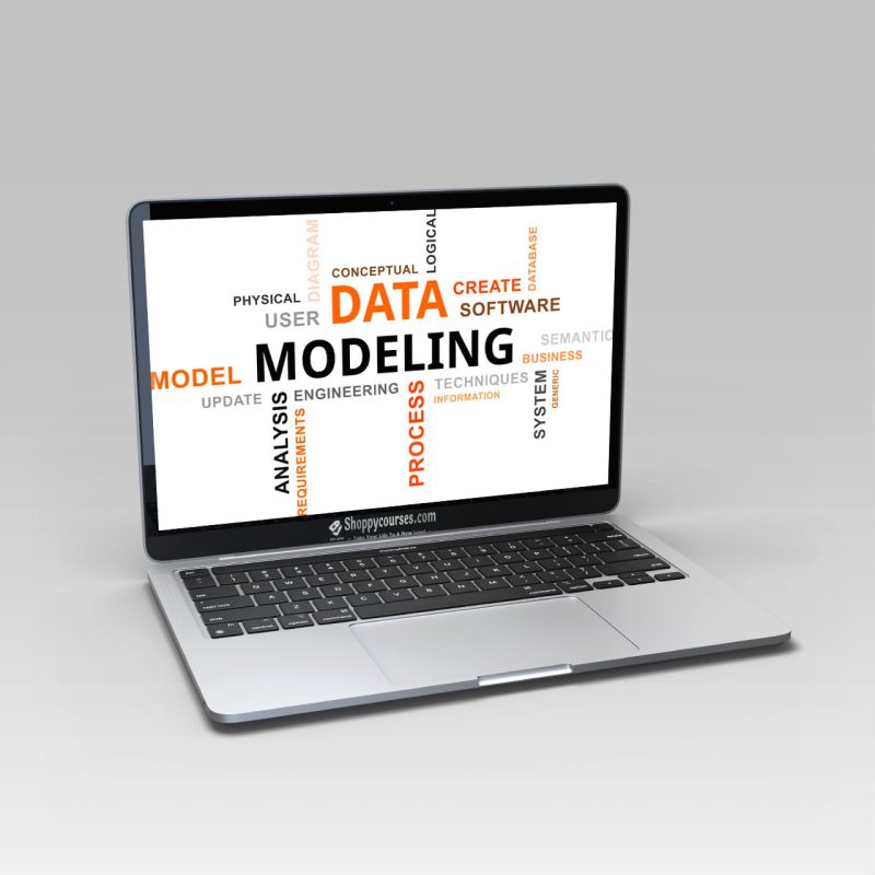 Sqlbi - Data Modeling for Power BI Video Course - ShoppyCourses
