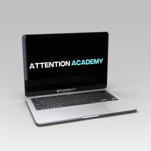 Seena Rezaei - Attention Academy