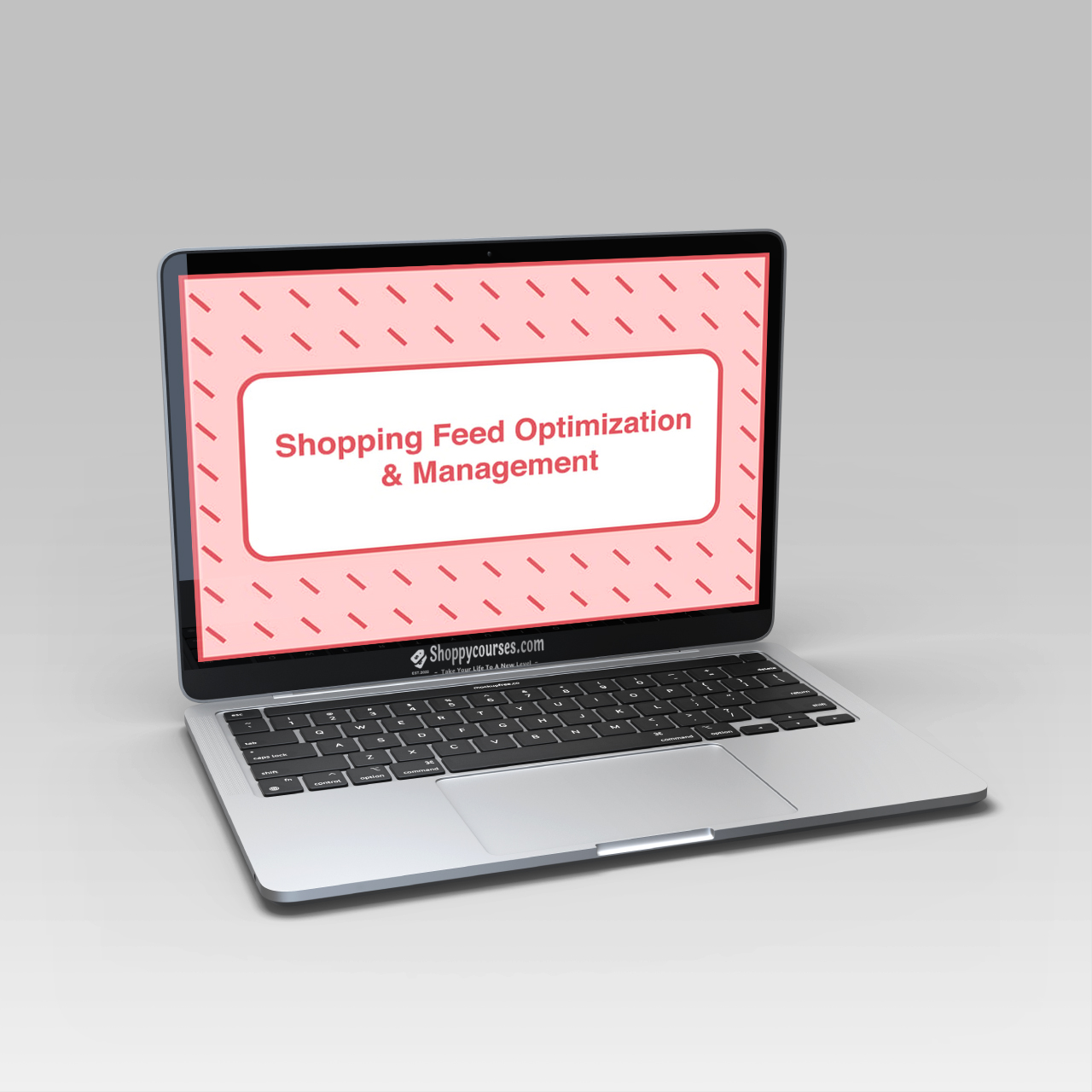 Take Some Risk – Shopping Feed Optimization and Management Take Some Risk – Shopping Feed Optimization and Management