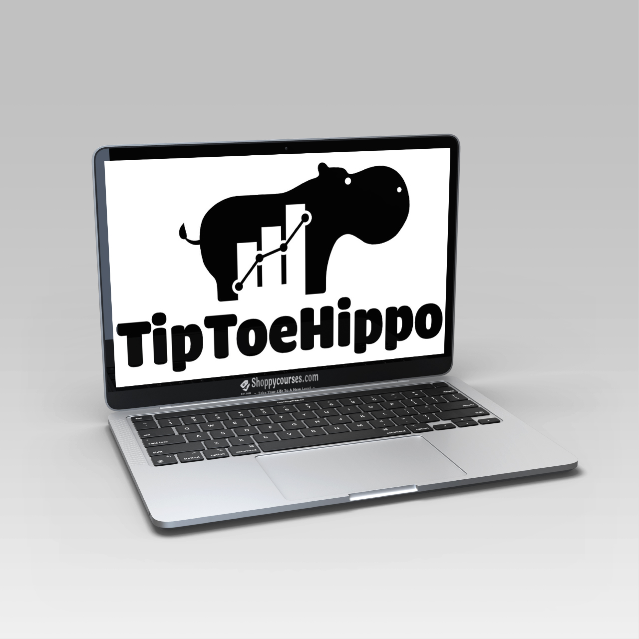 TipToeHippo – Strategy Quant Mentorship TipToeHippo – Strategy Quant Mentorship