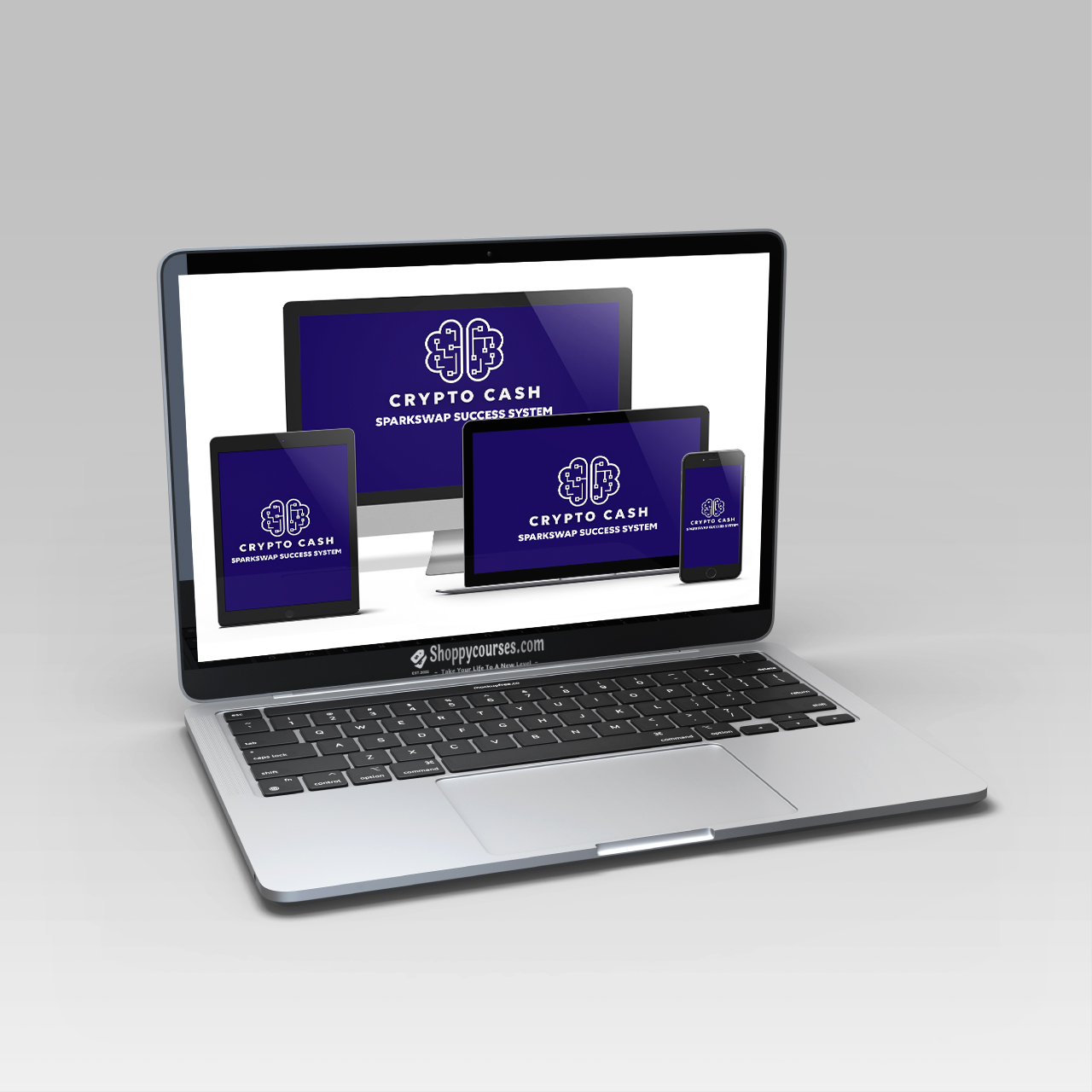 Andrew Lock – Crypto Cash SparkSwap Success System - ShoppyCourses