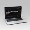 Alexunder Hess - Motion UI Design Masterclass For UX UI Designers (GOLD)