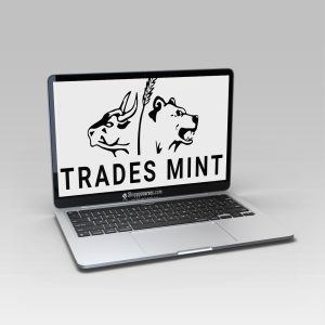 Zm Capitals Full course + Ebook + Discord