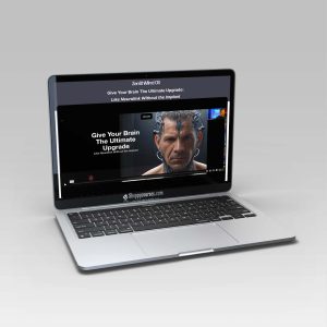 Rich Schefren - ZenithMind