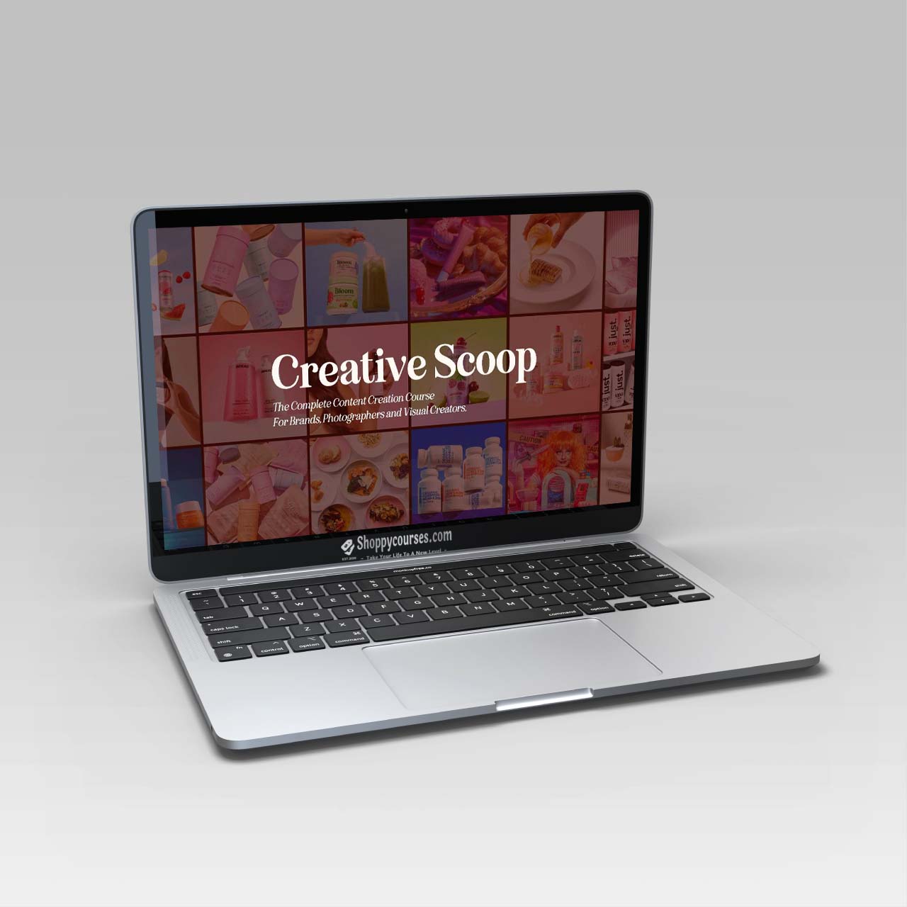 Creative Scoop – Complete Content Creation Course Creative Scoop – Complete Content Creation Course
