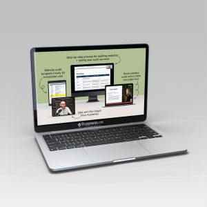 Danbee Shin – Website Audit Masterclass