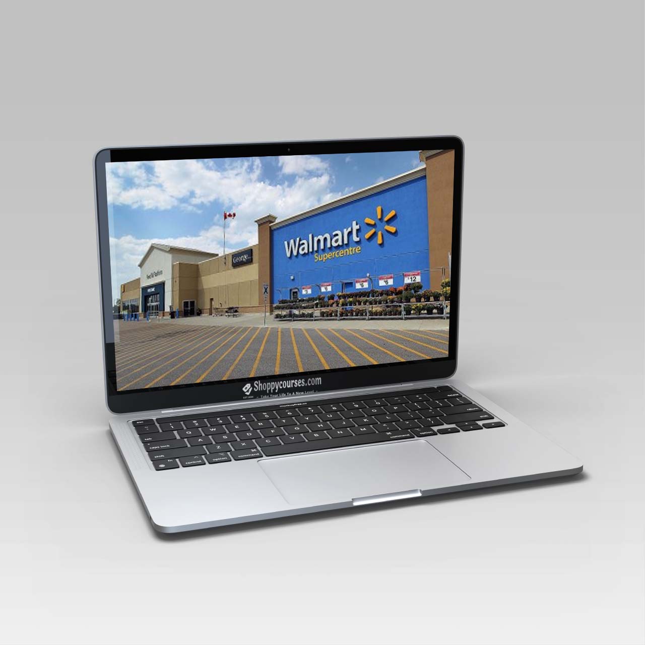 Noah Mincis – Walmart Mastery Noah Mincis – Walmart Mastery