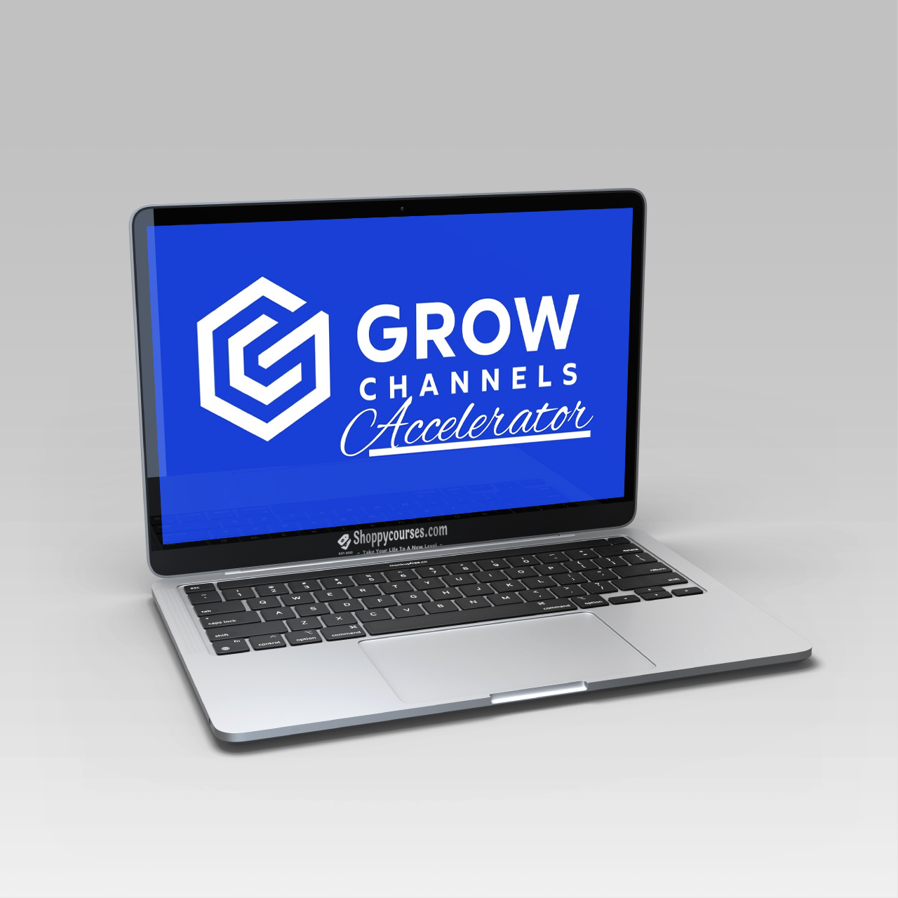 Razvan Paraschiv - Grow Channels Accelerator Razvan Paraschiv - Grow Channels Accelerator