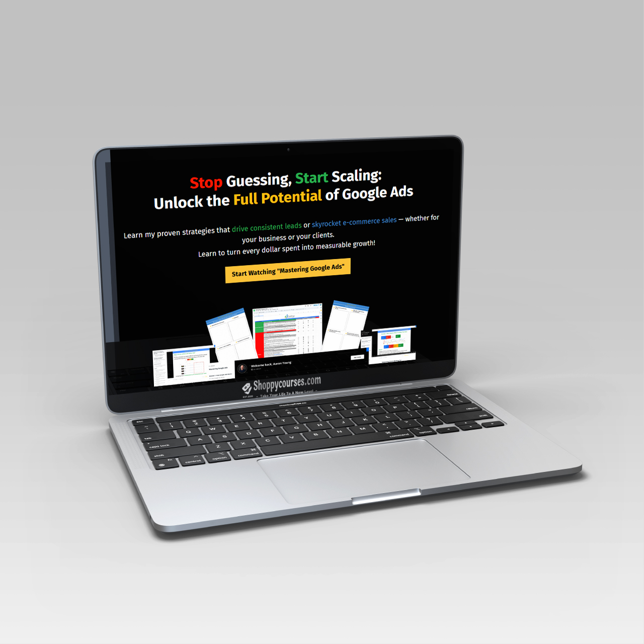 Aaron Young – Mastering Google Ads All Access Aaron Young – Mastering Google Ads All Access