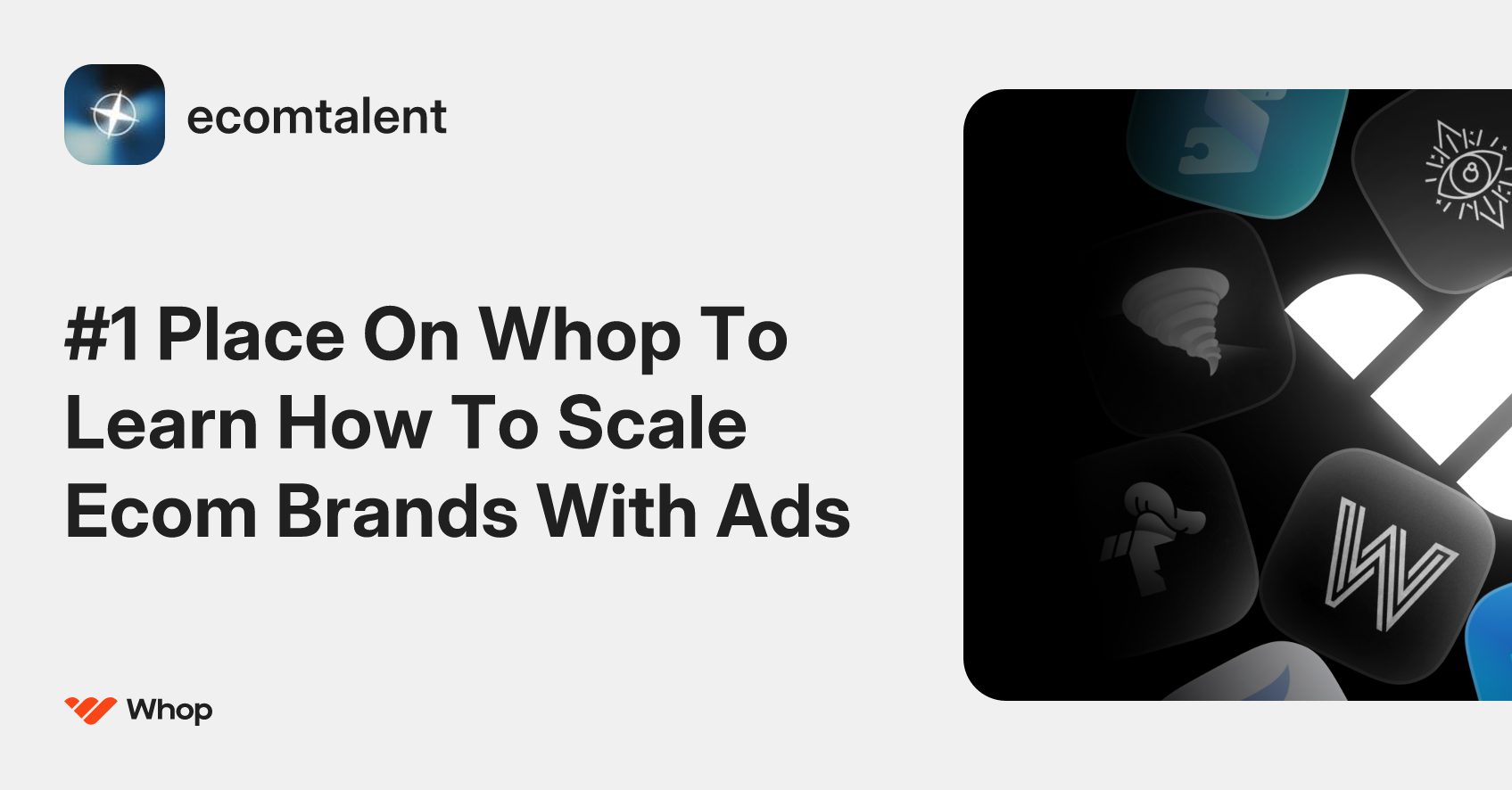 Learn How To Scale Ecom Brands With Ads
