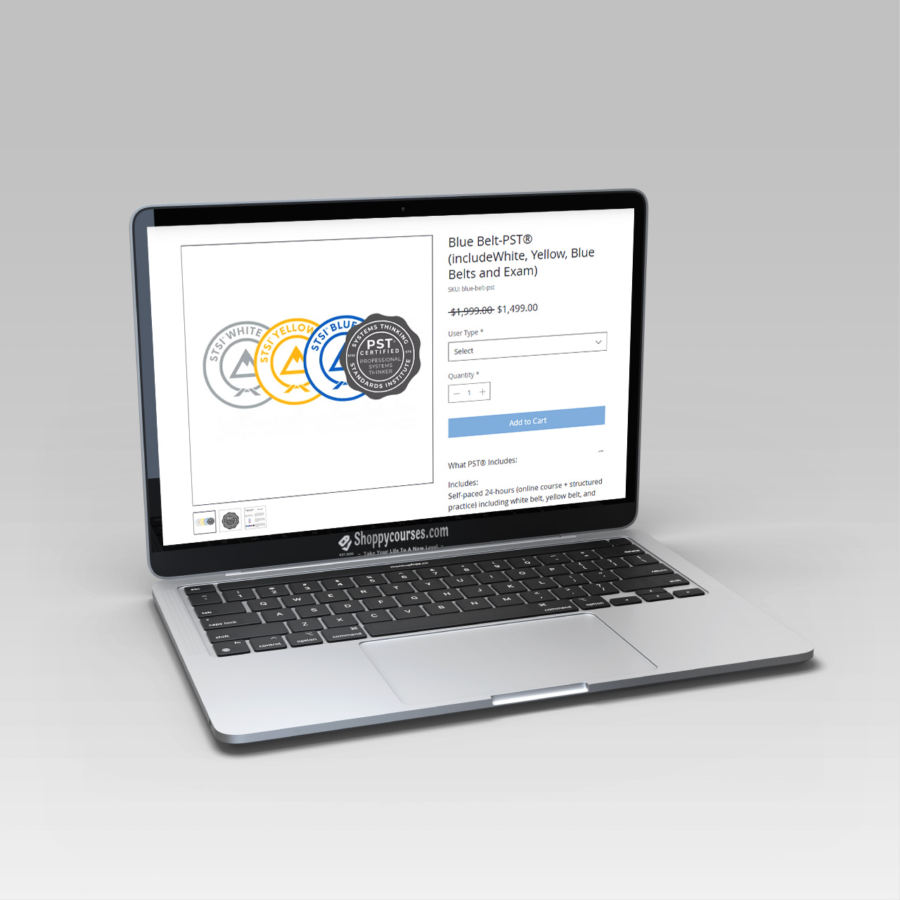 Systems Thinking Standards Institute – Blue Belt-PST Systems Thinking Standards Institute – Blue Belt-PST