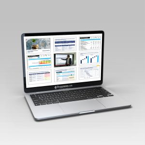 Aurelien Domont Consulting - Financial Modeling Planning Analysis Toolkit