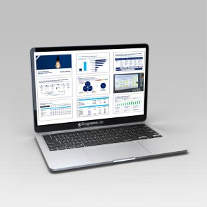 Aurelien Domont Consulting – Business Plan and Entrepreneurship Toolkit