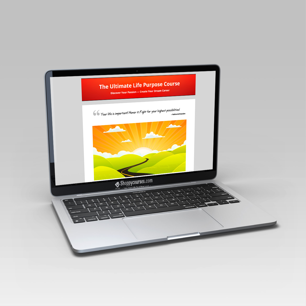 Leo Gura – The Ultimate Life Purpose Course Leo Gura – The Ultimate Life Purpose Course