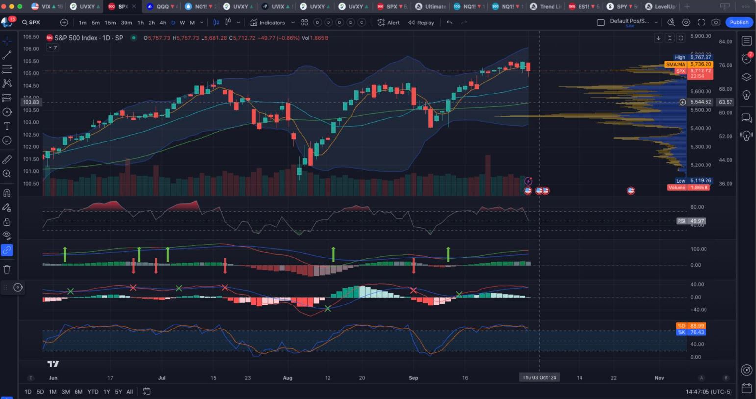 Dani Johnson Collection