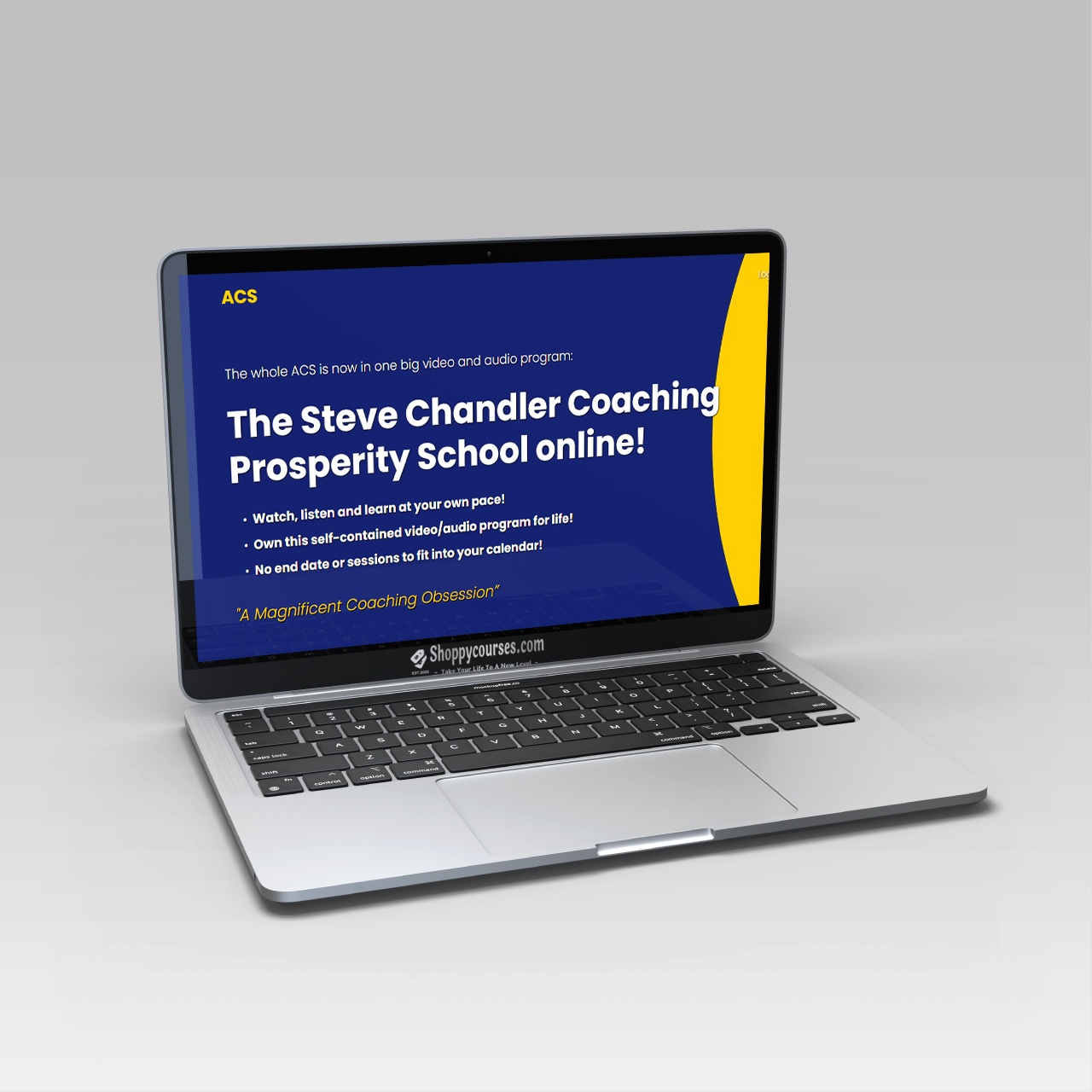 Steven Chandler – Coaching Prosperity School Steven Chandler – Coaching Prosperity School