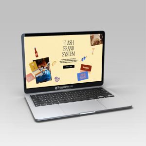 Ariel Garcia – Flash Brand System