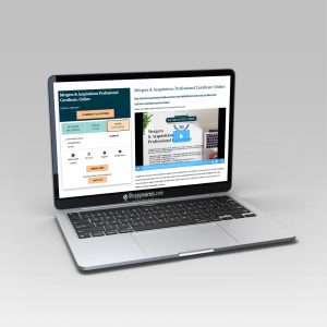 New York Institute of Finance – Mergers & Acquisitions