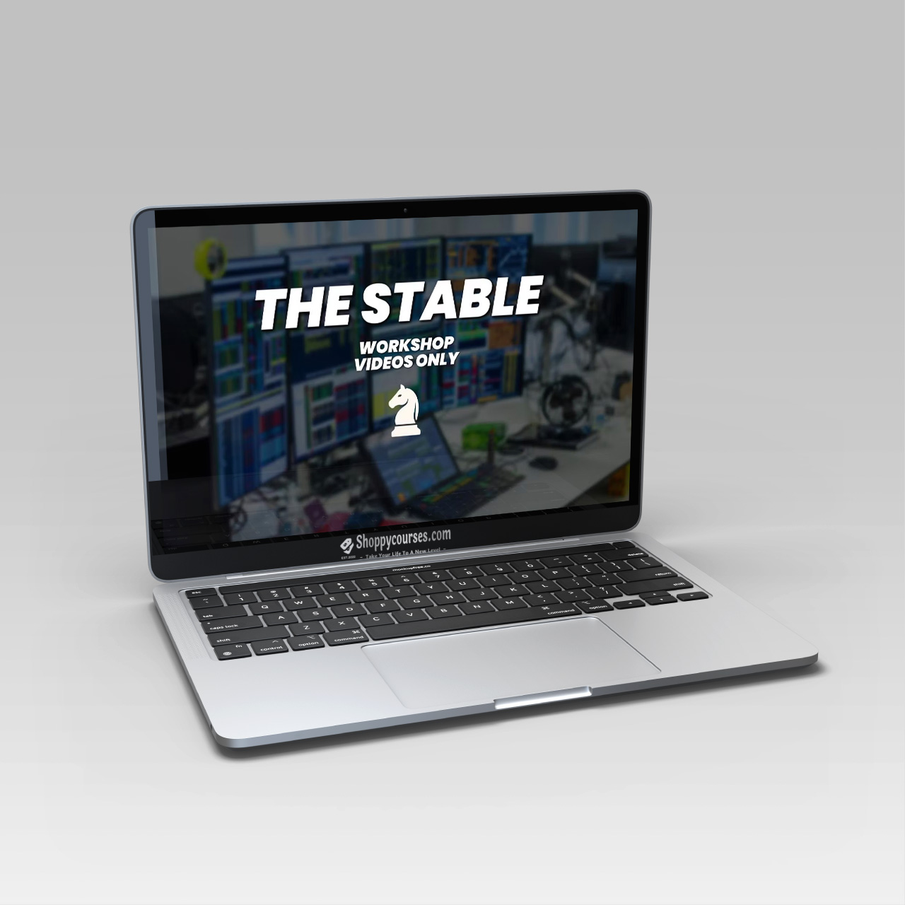 Ryan - Trading Stable Workshop Video Ryan - Trading Stable Workshop Video