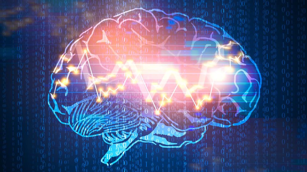 Introduction to the Trader Brain