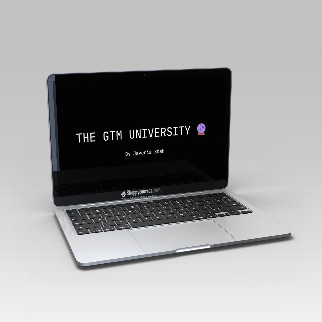 Javeria Shah - The GTM University Javeria Shah - The GTM University
