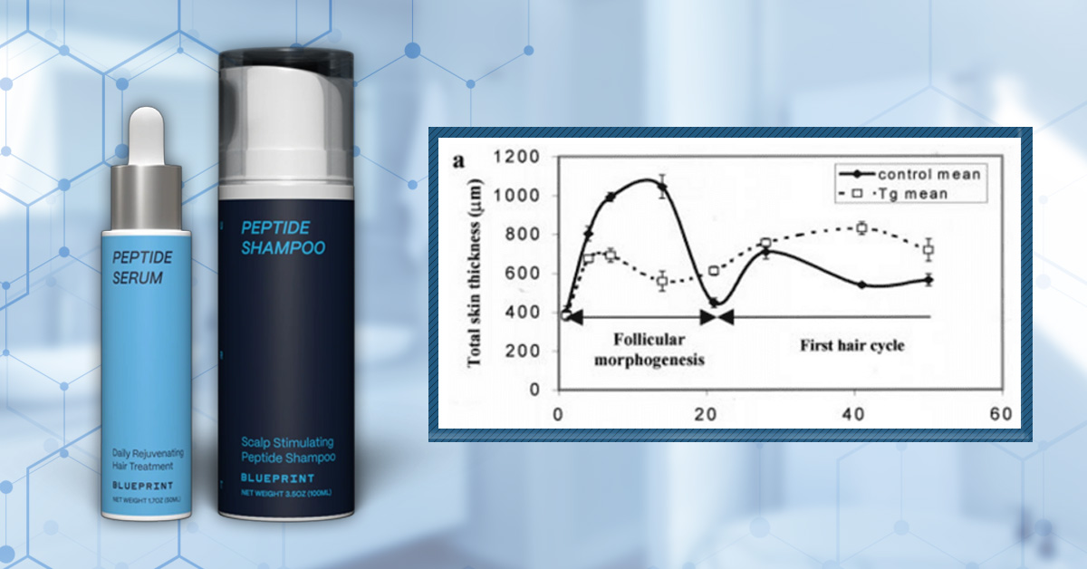 Peptide Blueprint