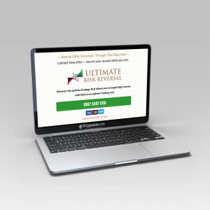 Sean Allison – Risk Reversal program