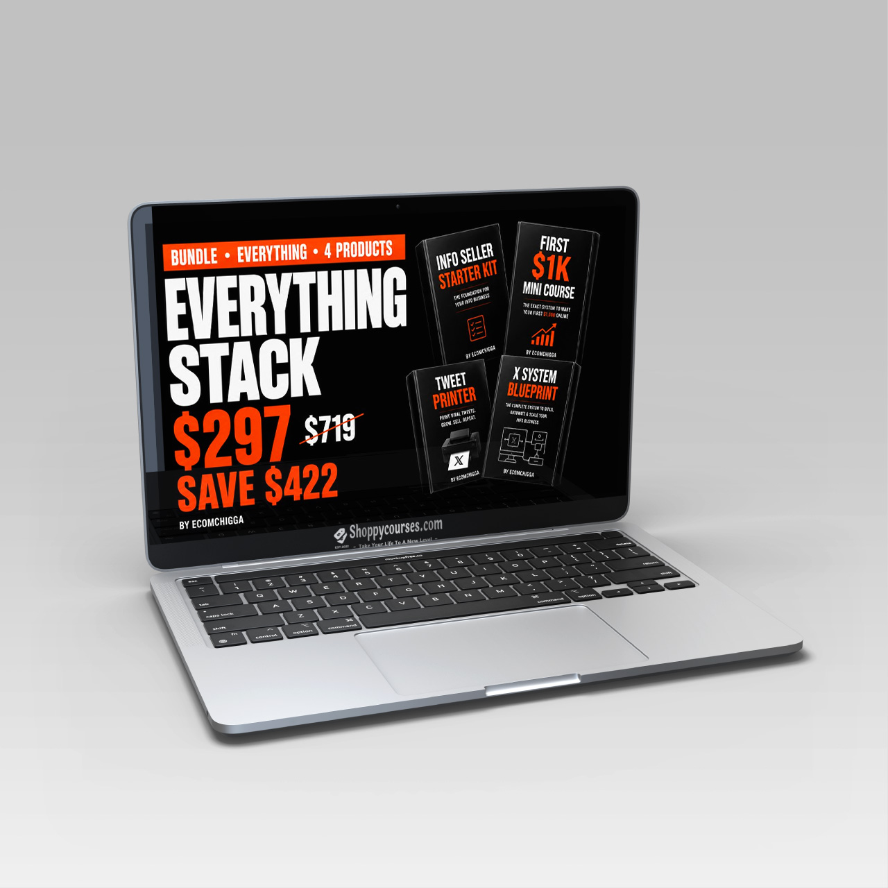 EcomChigga Courses Bundle EcomChigga Courses Bundle