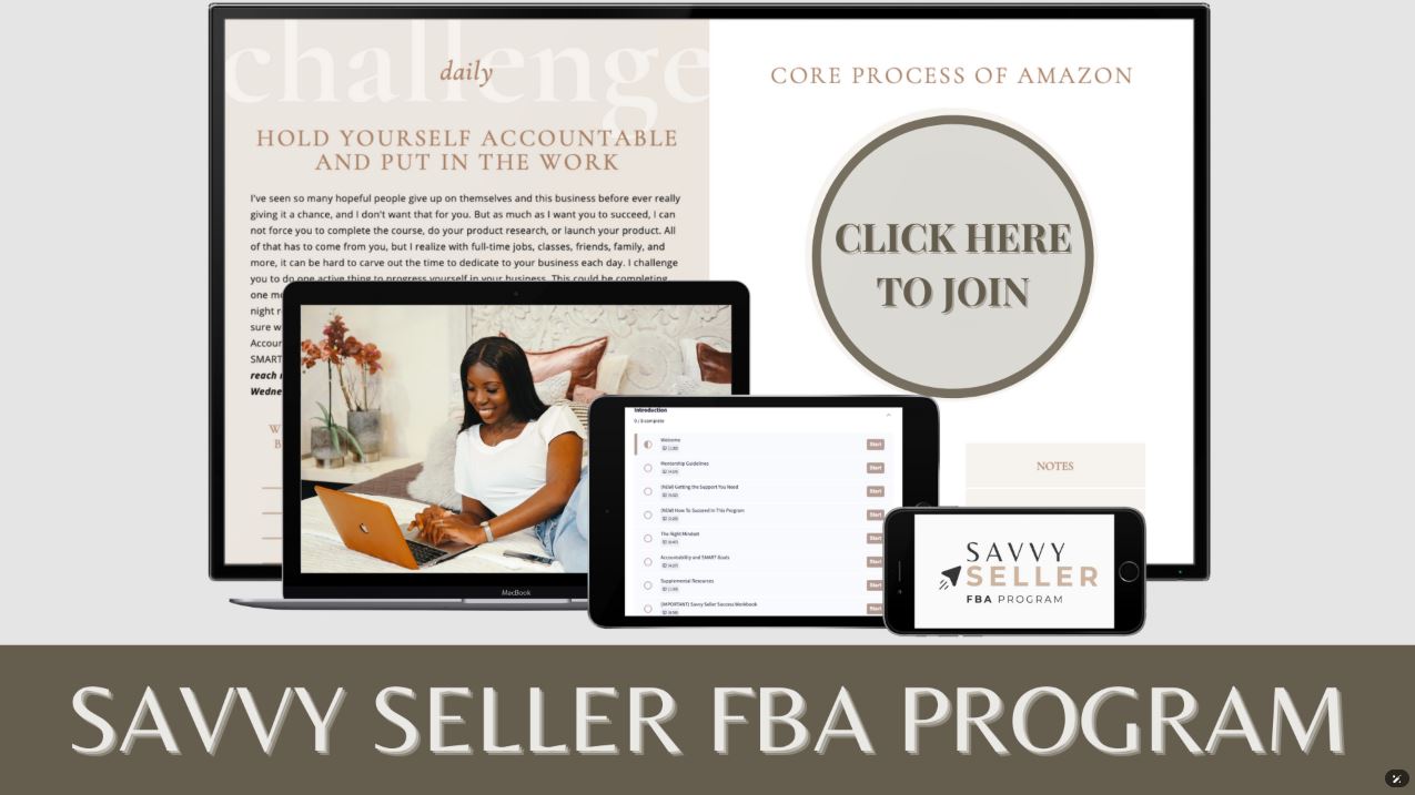 Savvy Seller FBA Program
