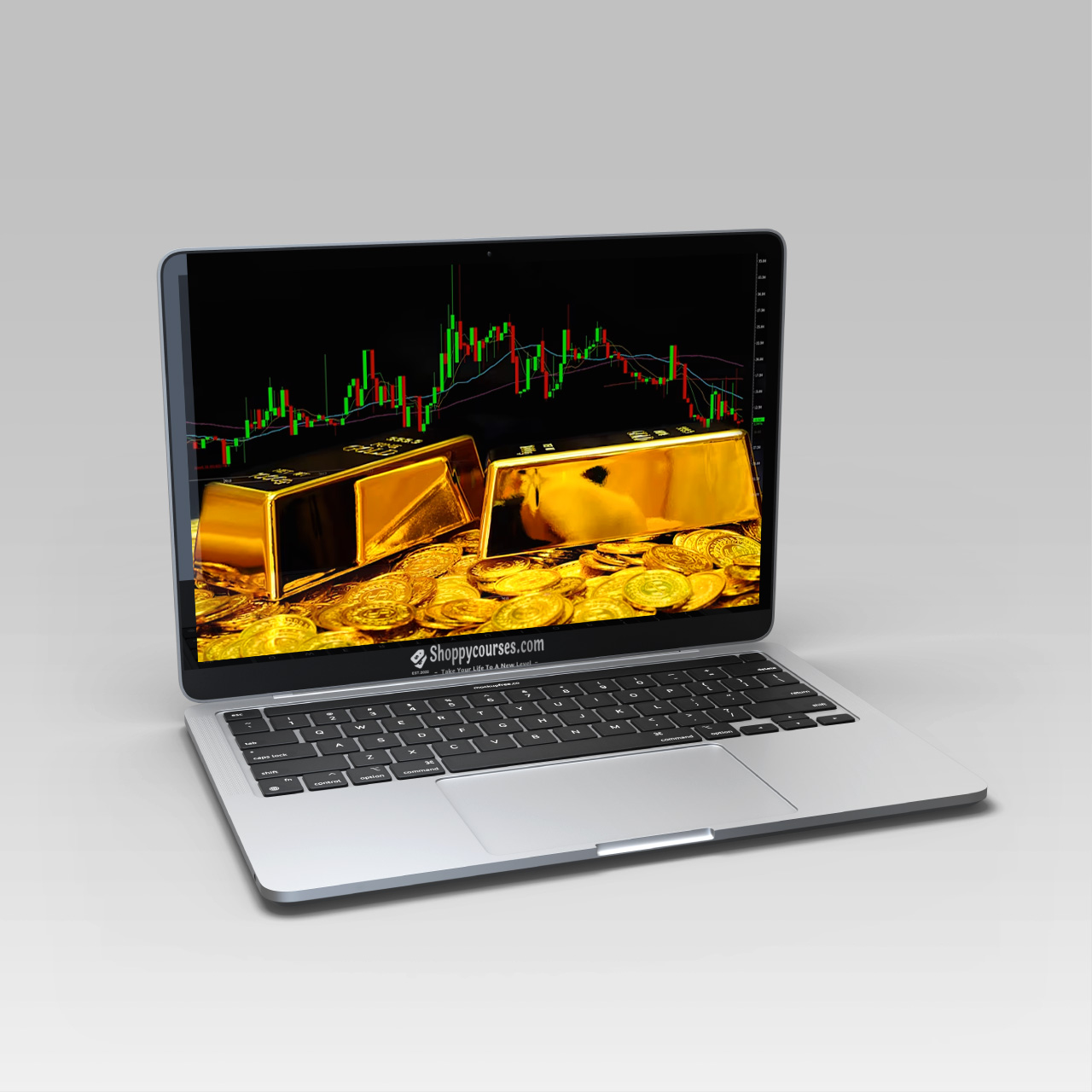 L. David Linsky - The Key to Speculation in the Gold Market (eBooks) L. David Linsky - The Key to Speculation in the Gold Market (eBooks)